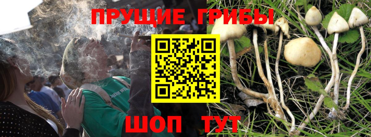 Псилоцибиновые грибы Magic Shrooms Северск